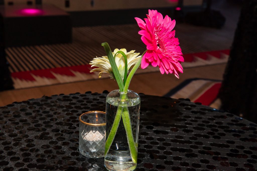 Ascendigo Blue, March 7, 2026